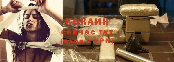 крисы Инсар