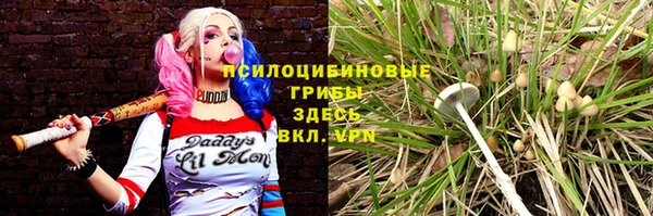дживик Иннополис
