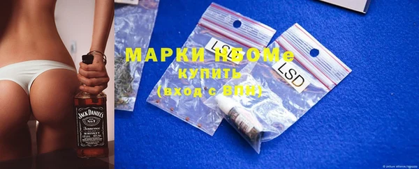 крисы Инсар